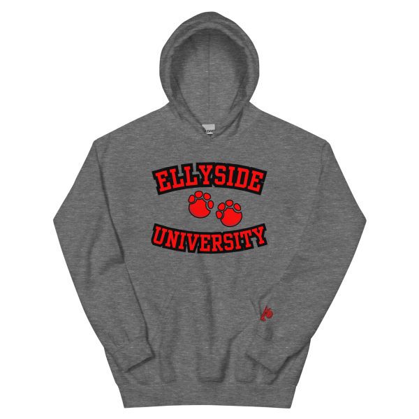 Degen U Signature Pullover Hoodie - Image 3